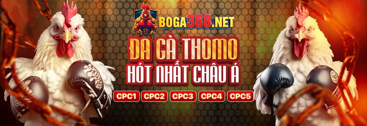 Chương trình VIP độc quyền vuabet88 chính thức